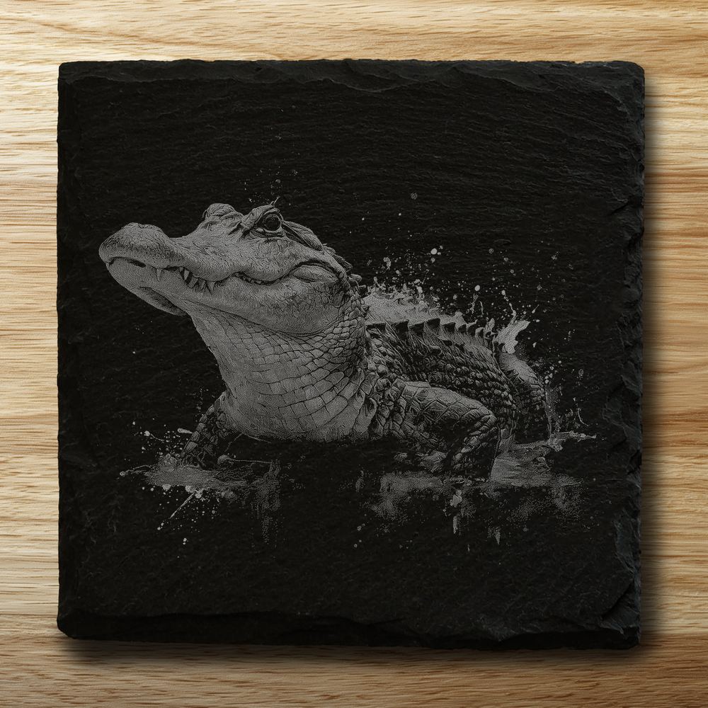 Alligator