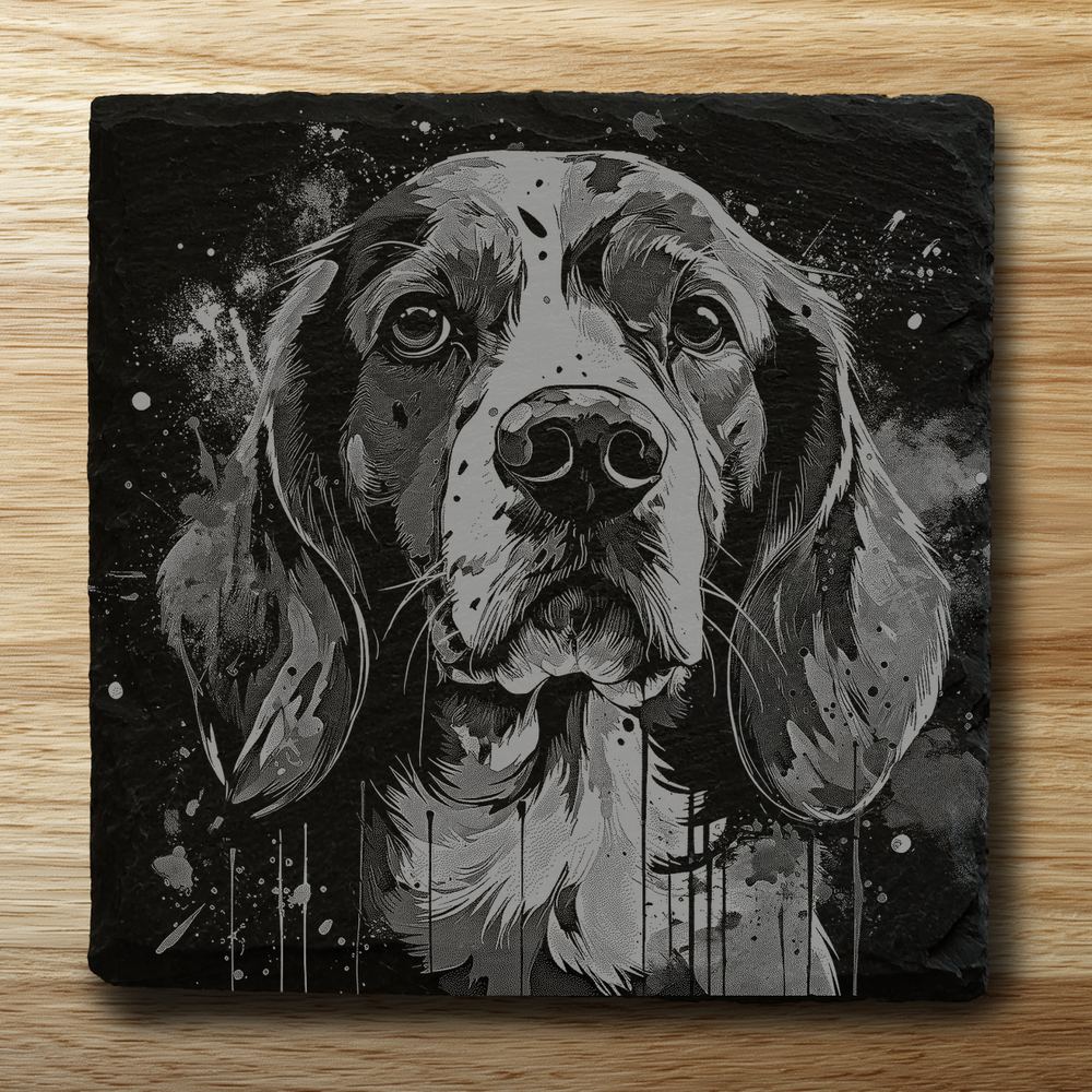 Beagle - square