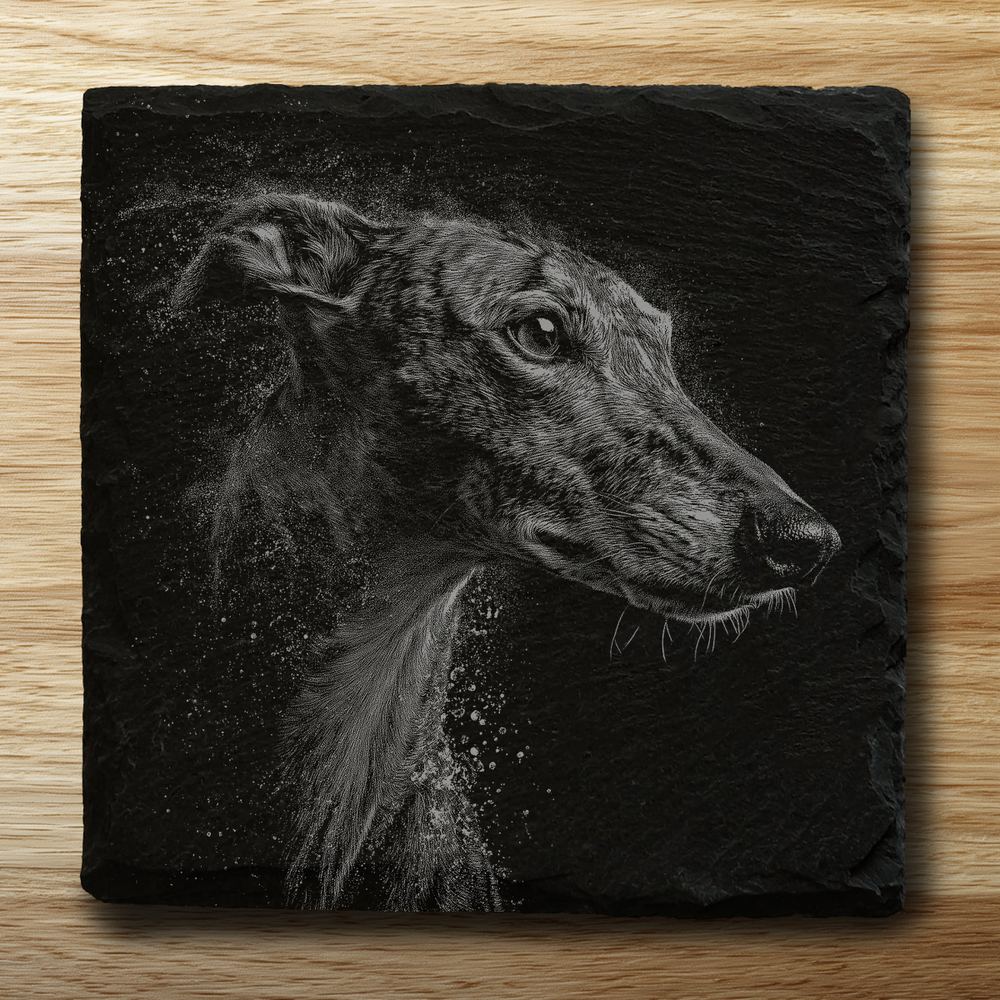 Greyhound