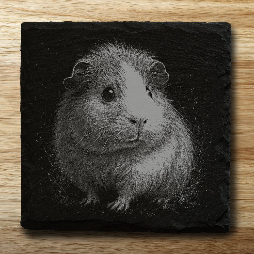 Guinea Pig