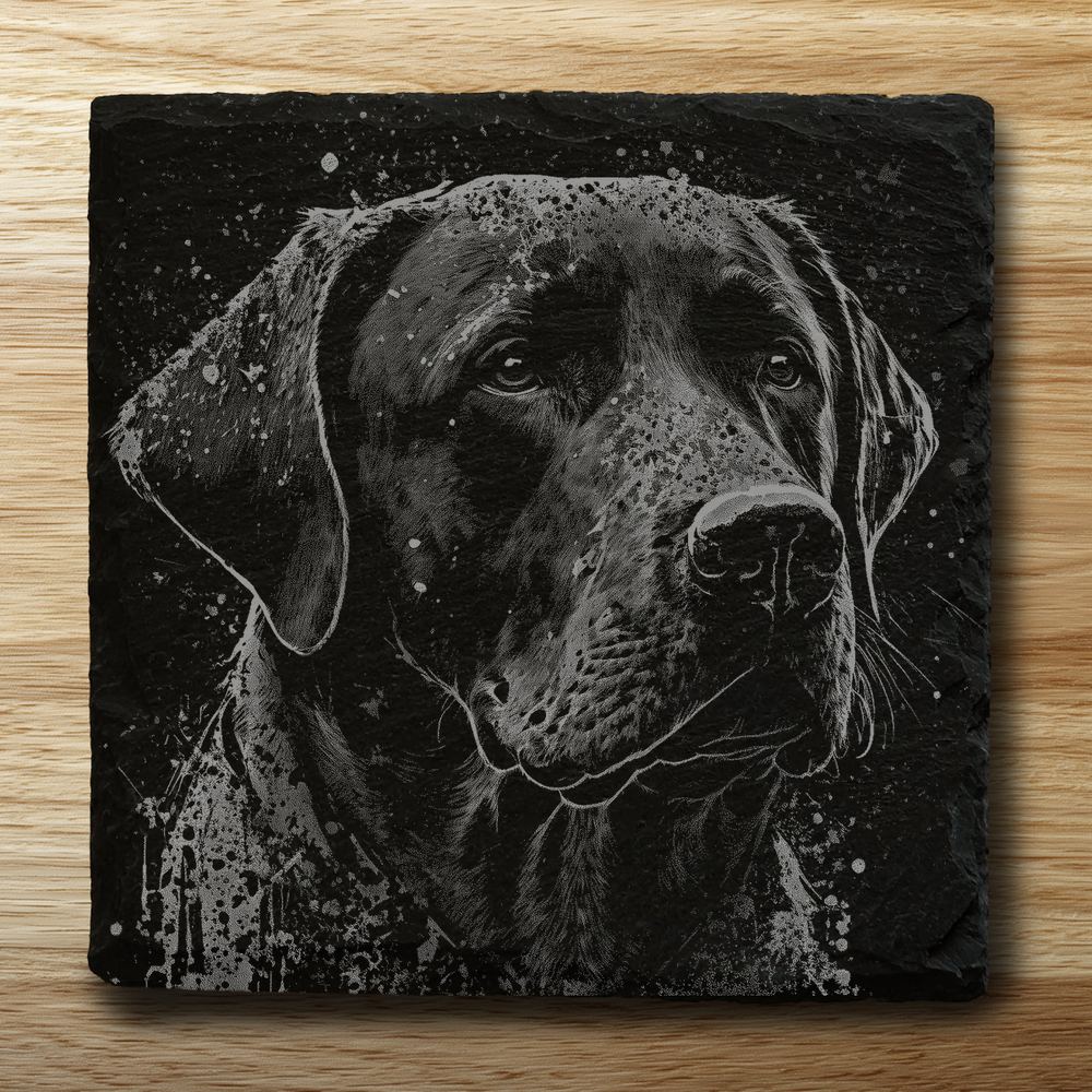 Labrador