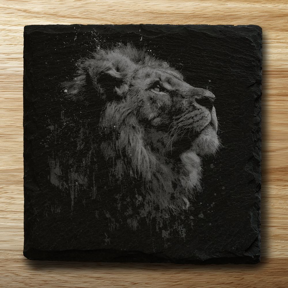 Lion - Looking Up