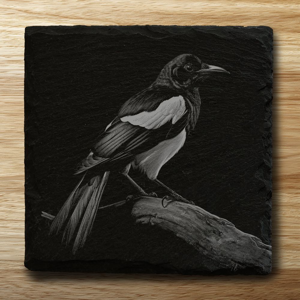 Magpie - square