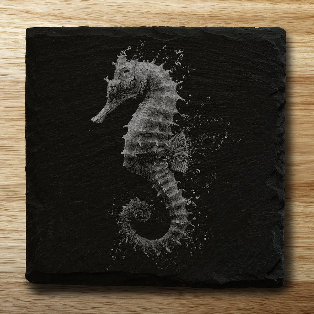 Seahorse
